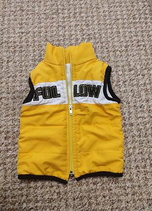 Стильная жилетка 9 месяцев