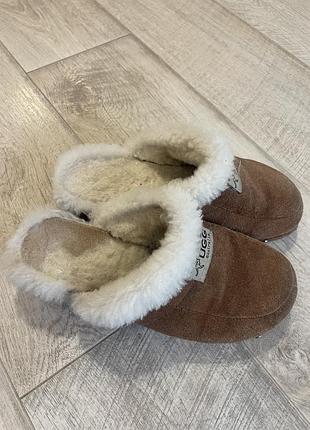 Тапки шлепанцы ugg