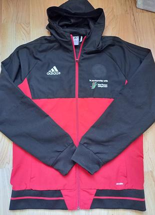 Кофта чоловіча спортивна adidas