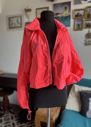 Вітровка укорочена