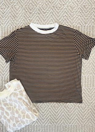 Футболка жіноча смужка (38р-м)