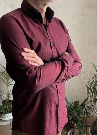 Next чоловіча сорочка, приталена, бавовна, комір 39, розмір 46