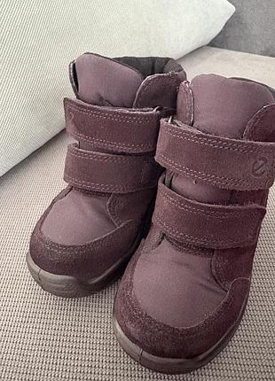 Дитячі зимові черевики ecco urban minі
