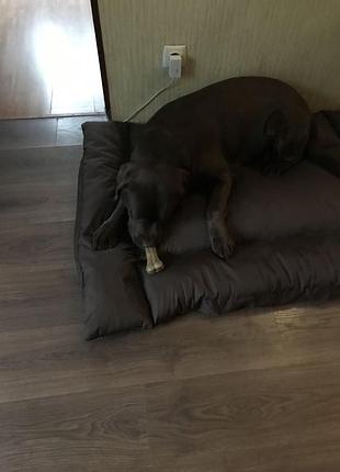 Лежак для собак и котов