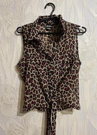 Блуза леопард