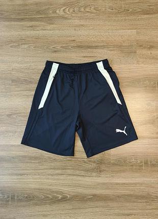 Мужские спортивные шорты puma teamliga