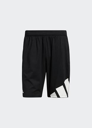 Чоловічі шорти adidas