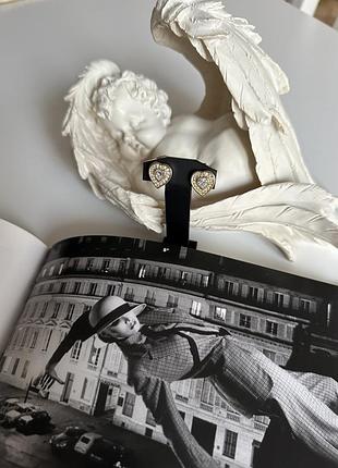 Кліпси christian dior