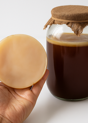 Чайный гриб (комбуча) – живой scoby + готовый напиток