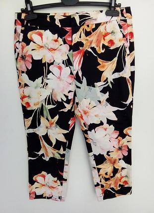 Бриджи.
котон стрейч.