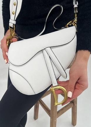 Dior saddle