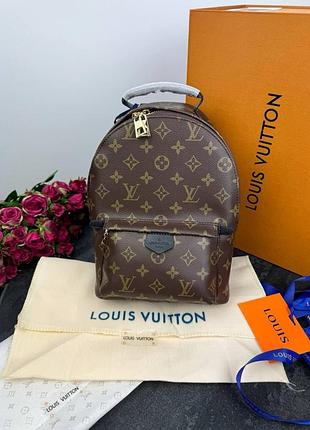 Louis vuitton palm springs brown/black
