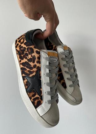 Superstar leo print 📦