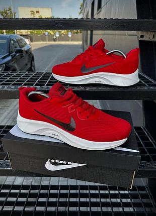 Zoom pegasus
