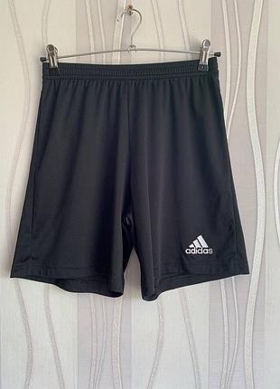Шорти adidas