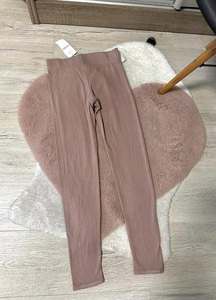 Лосини від oysho