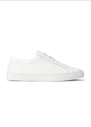 Білі базові кеди жіночі ralph lauren with elite cushioning