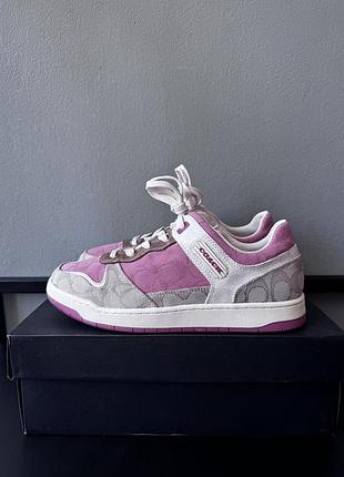 Кеди жіночі coach