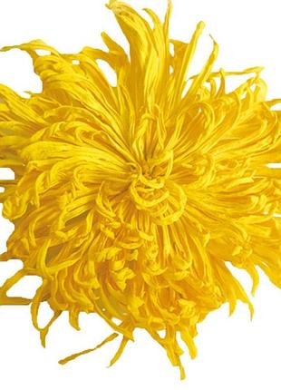 Чай хризантема жовта королівська чаєман, сушені квіти 4-6 см, вищий сорт 500 г