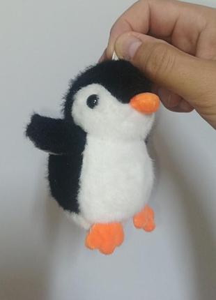 Пінгвін пінгвін