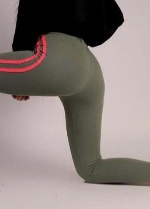 Лосини, лосины2 фото