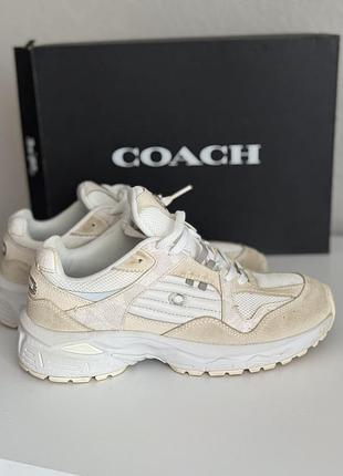 Кросівки coach