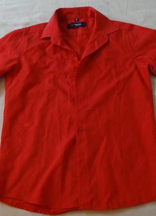 Яркая рубашка с длинным рукавом