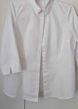 Рубашка, блуза