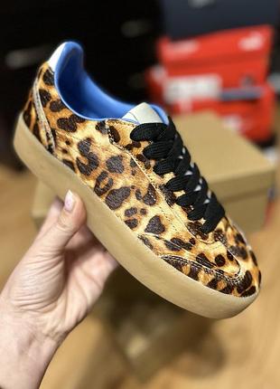 Кросівки жіночі леопардовий принт steve madden