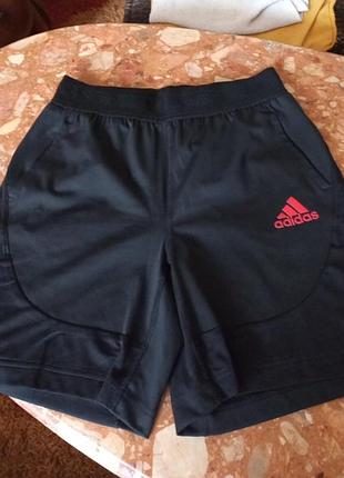 Шорти adidas