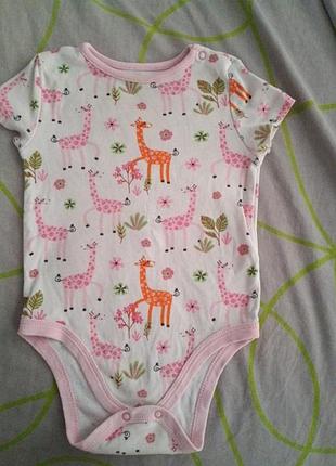 Боді короткий рукав