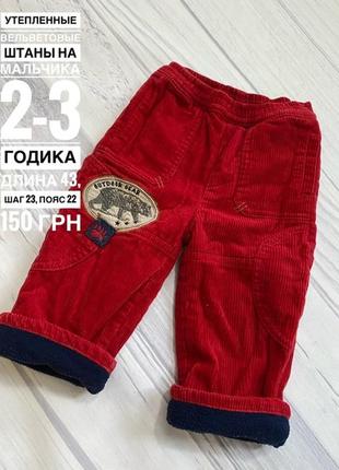 Теплі штани вельветові