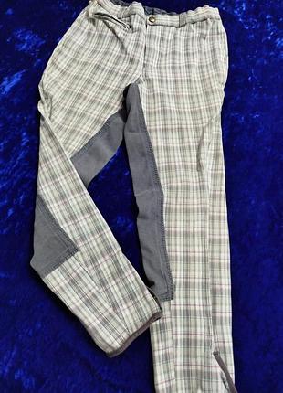 Штаны, брюки  для конного спорта