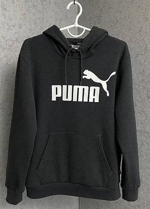Чоловіча сіра кофта від бренду puma