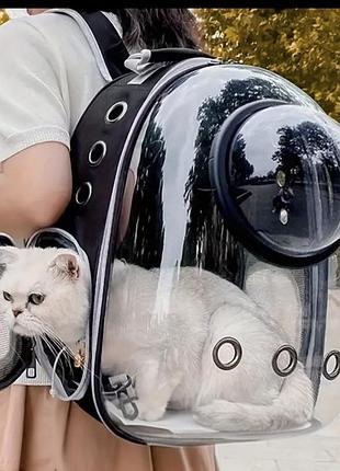 Рюкзак-переноска "космическая капсула" для котов и малых собак - комфорт и стиль!