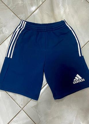 Синие мужские шорты adidas Adams s