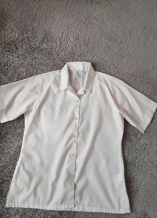 Тенниска женская non iron, хлопок и полиэстер, длина 55, грудь 45, талия39,5,низ45,