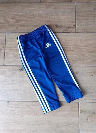 Штани adidas 9-12 місяців