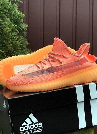 Adidas yeezy boost