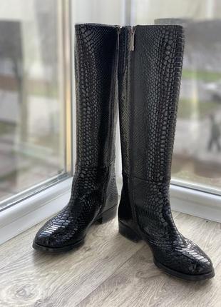 Сапоги