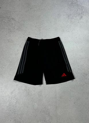 Адідас 2023 basic shorts