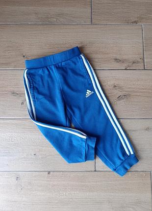 Штани adidas 18-24 місяців