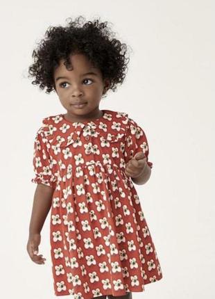Шикарна стильна бавовняна сукня з комірцем на дівчинку 3/4р next