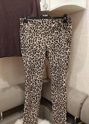 Штани леопардовий принт л.хл