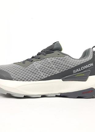 Чоловічі кросівки salomon elixir activ grey light green