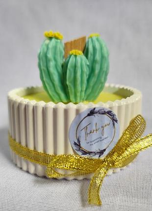 Свічка з соєвого воску з ароматом апельсину та лимону "кактус," розмір кашпо 7*7.5 см