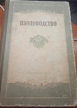 Плодоводство. курындин, малинковский, веньяминов, бельхонов