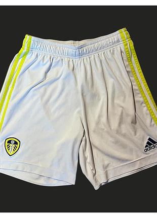Спортивні шорти adidas Adams leeds united m