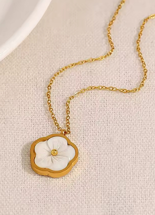 Ланцюжок з кулоном нержавіюча сталь stainless steel мушля