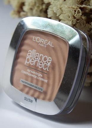 Компактна пудра l'oreal loreal alliance perfect 5d/5w тепла бежево-золотиста